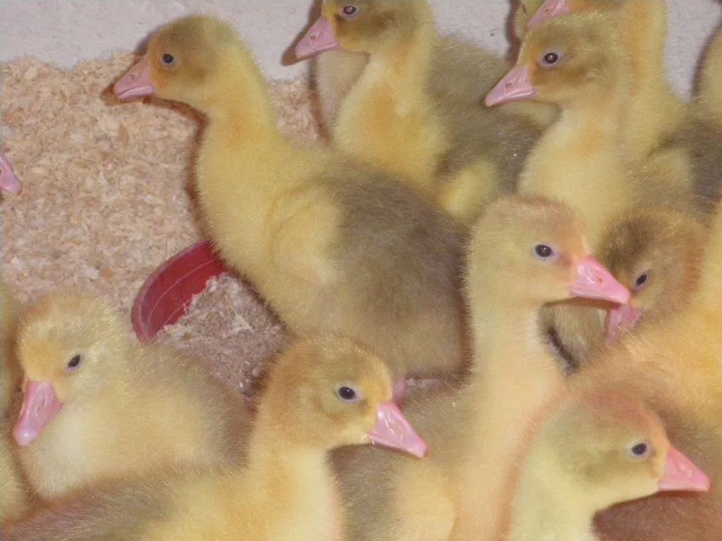 2014 New Arrivals